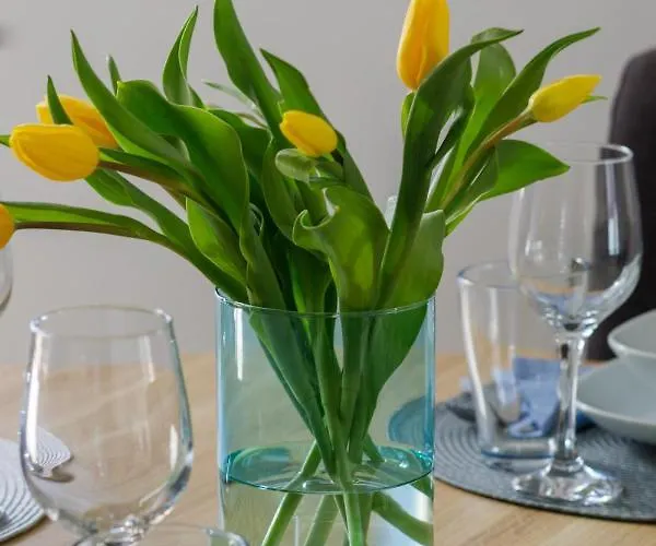 Strzelecka Center Of By Renters *