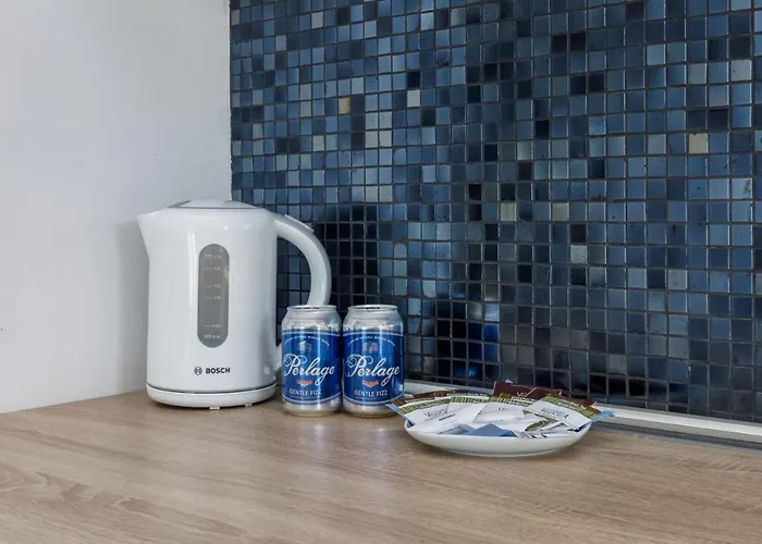 公寓 Strzelecka Center Of By Renters *