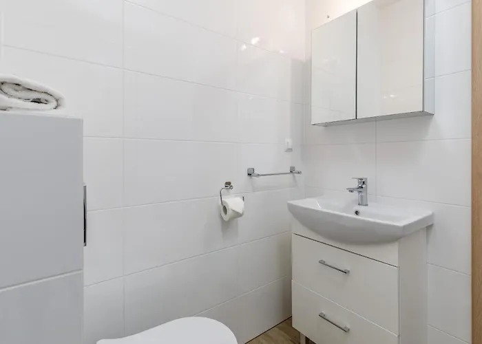 公寓 Strzelecka Center Of By Renters 科沃布热格